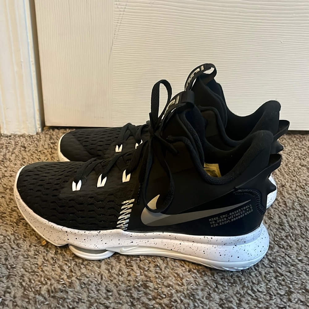 Nike Lebron Witness 5